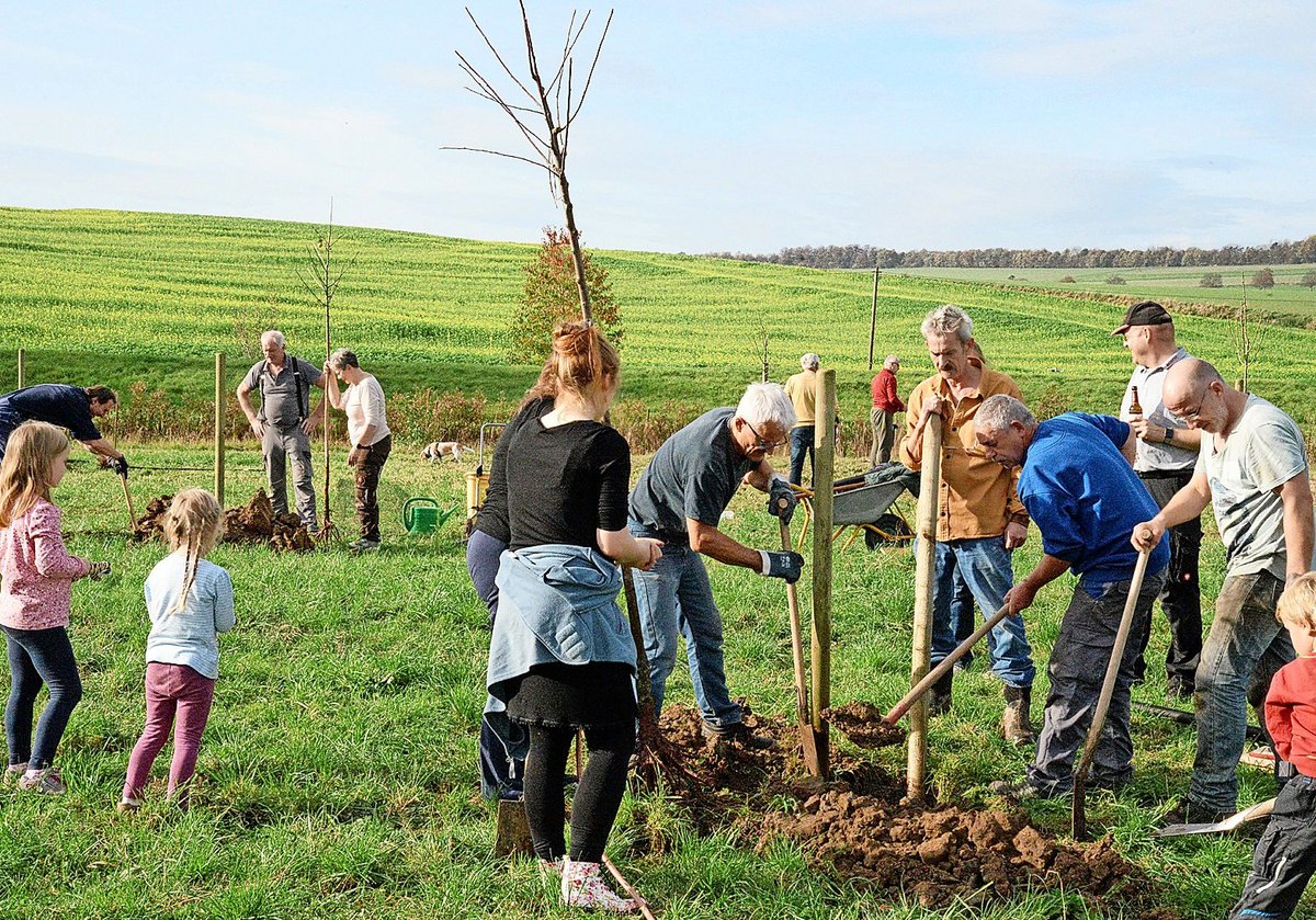 Ein Dorf betreibt Naturschutz Hildesheimer Allgemeine