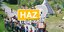 HAZ-Quiz der Woche: Jubiläum im Familienpark Sottrum, kostenlos Bus fahren, neuer Baumarkt