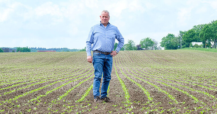 Frost in May? How experts from the Hildesheim district deal with the Ice ...