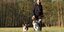 Schloss Oelber kommt auf den Hund: Dogdance, Rennen und mehr am Wochenende