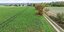 „Das ist kein Kavaliersdelikt“: So gehen Alfelder Landwirte mit Ackerdiebstahl um