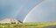Hingucker: Ein Topf voll Gold