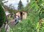 Titel: Hühnergruppe Godehardsgarten Beschreibung: