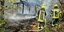 Bei Wanderern beliebte Hütte mitten in Alfelder Waldstück brennt nieder – Feuerwehr verhindert Waldbrand