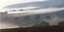 Hingucker: Morgennebel