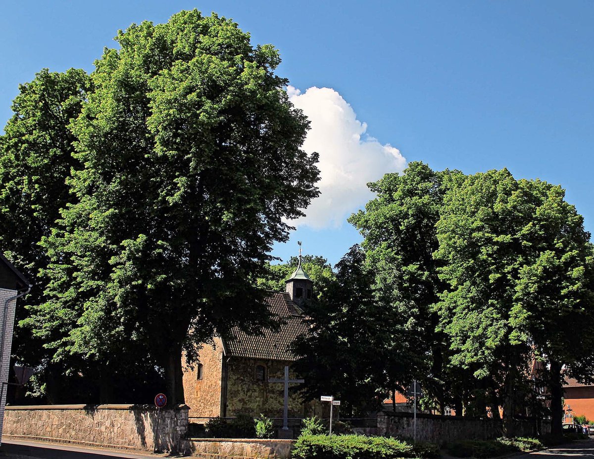 Vortrag über Algermissen Hildesheimer Allgemeine