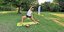 Magdalenengarten, Ehrlicher-Park, Kehrwiederwall: Wo man in Hildesheim Yoga an der freien Luft machen kann