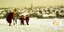 Hingucker: Am Berghölzchen – wo Hildesheim einst Ski fuhr
