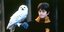 Thega zeigt noch einmal Harry Potter: Die HAZ-Redaktion erinnert sich an schöne Zeiten mit dem Zauberer, aber auch an großen Ärger
