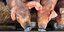 Bockenemer Betrieb kündigt Schließung an: Kein Duroc-Fleisch mehr aus dem Ambergau