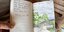 Ein Dankeschön mit Kürzel und Kunst: Wer hat das Aquarell ins Gästebuch des Leineberglandbalkons gezeichnet?