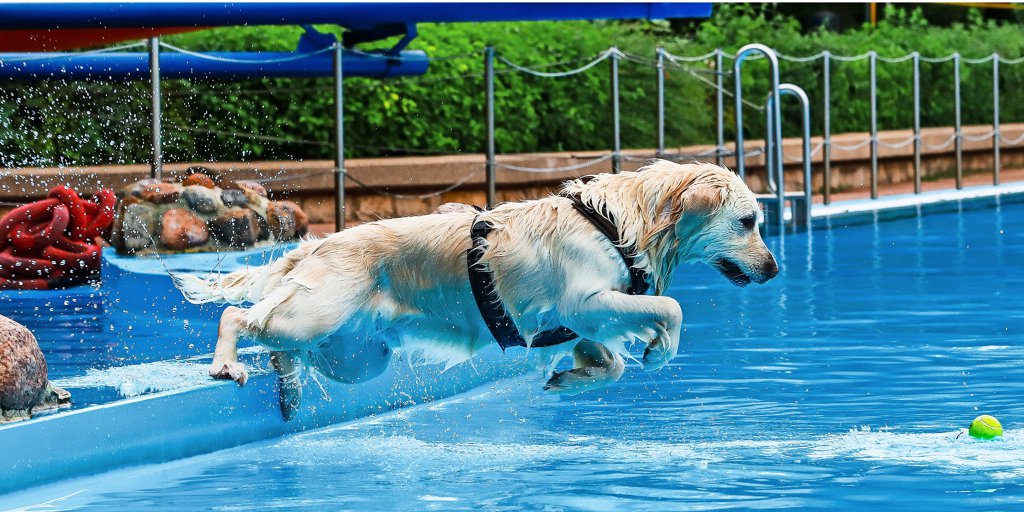 Freibadsaison im Leinebergland endet: Wo Mensch und Hund am Wochenende ...