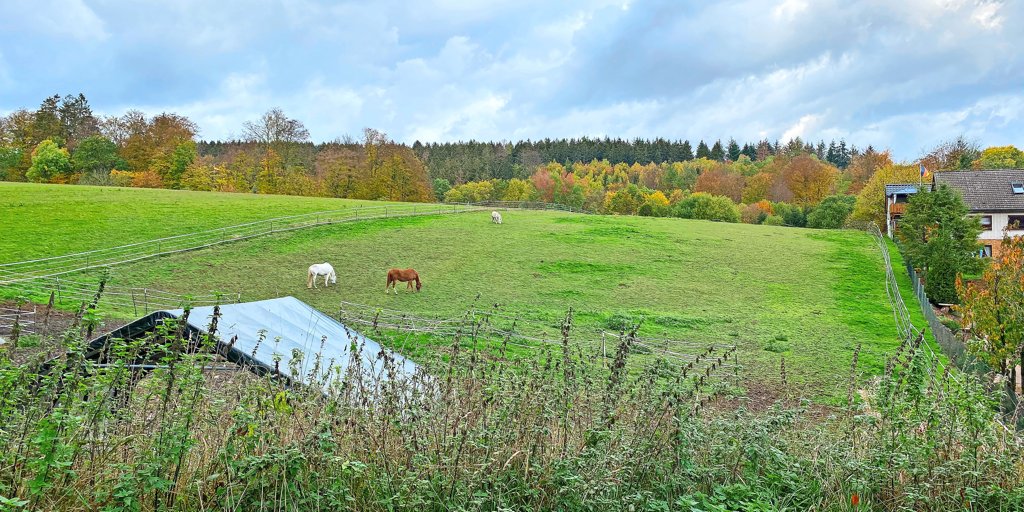 100MillionenEuroInvestition in der Nähe von Hildesheim geplant