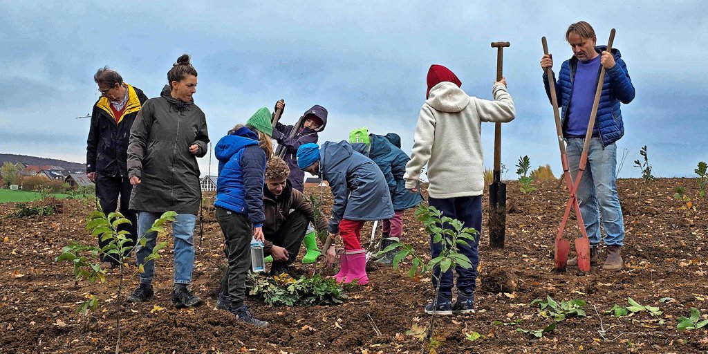 800 Bäume am Gut Walshausen gepflanzt – Habitat soll vielen heimischen ...