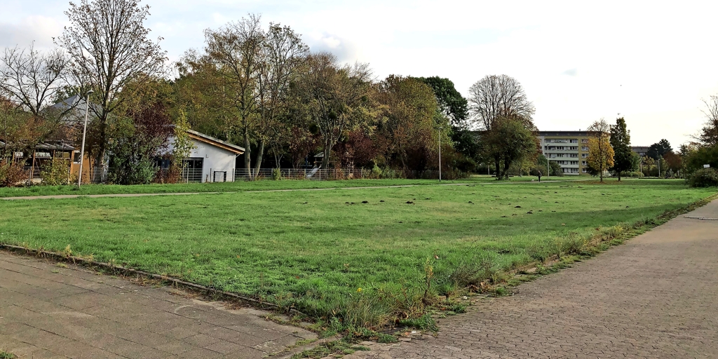 Drispenstedt Wie viele neue Häuser dürfen’s sein?