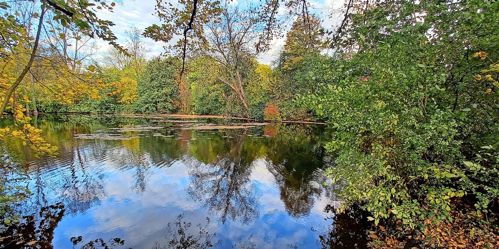 Hingucker Erholung im ErnstEhrlicherPark Hildesheimer Allgemeine