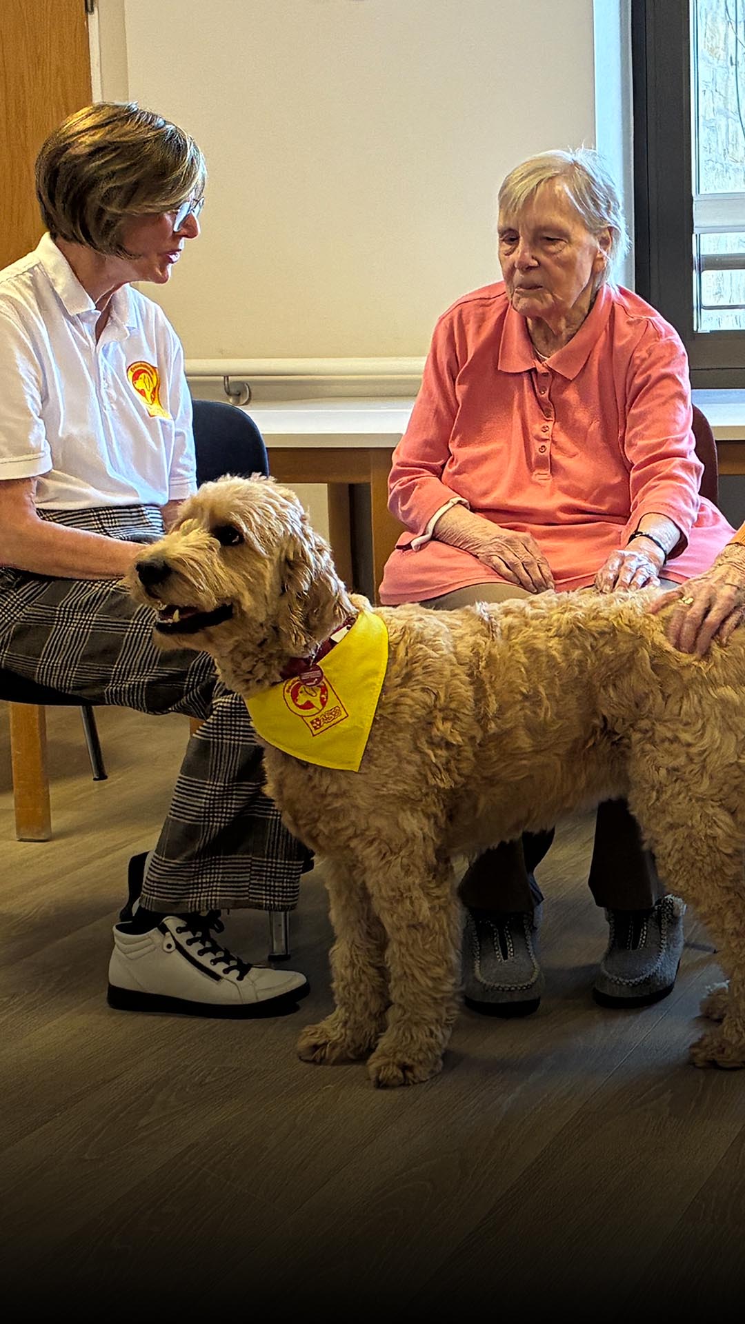 Besuchshunde im Altenpflegeheim St. Paulus