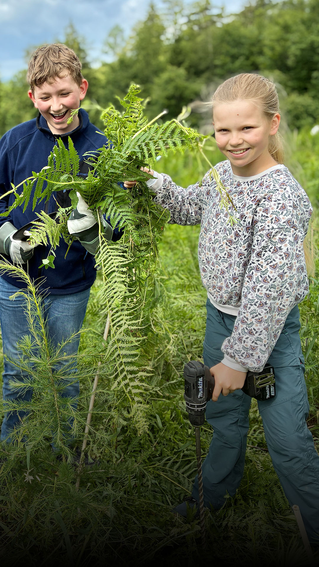 Andreanum-Schüler  pflegen ihre Bäumchen  im Hildesheimer Wald