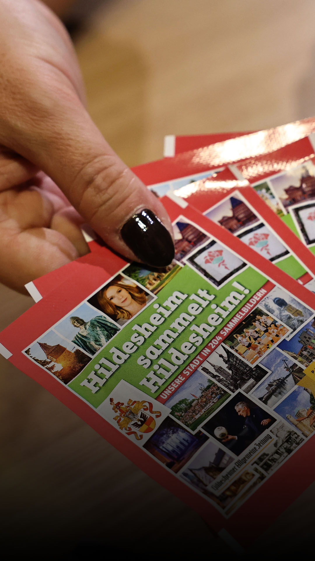 Neues Sticker-Album "Hildesheim sammelt Hildesheim" jetzt im Verkauf