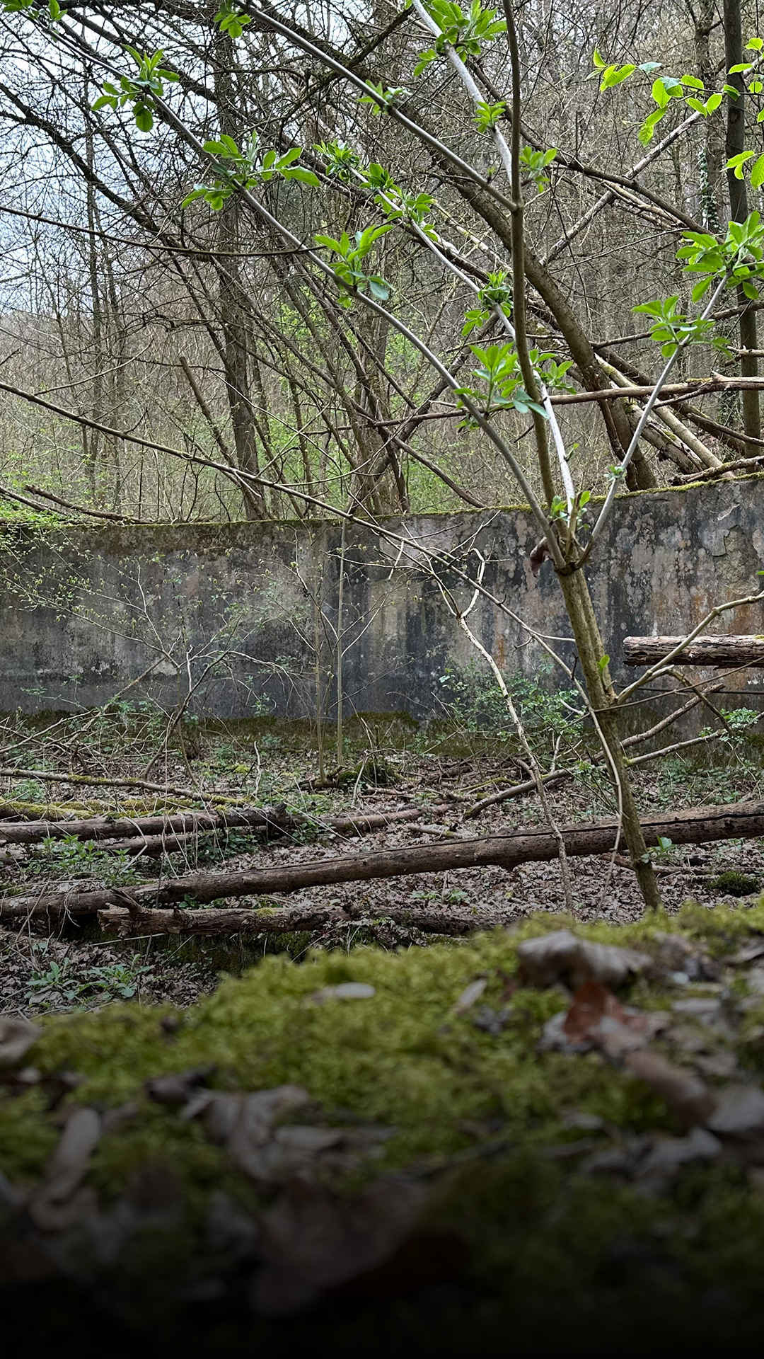 Lost Place bei Alfeld: Ein Ort mit düsterer Geschichte