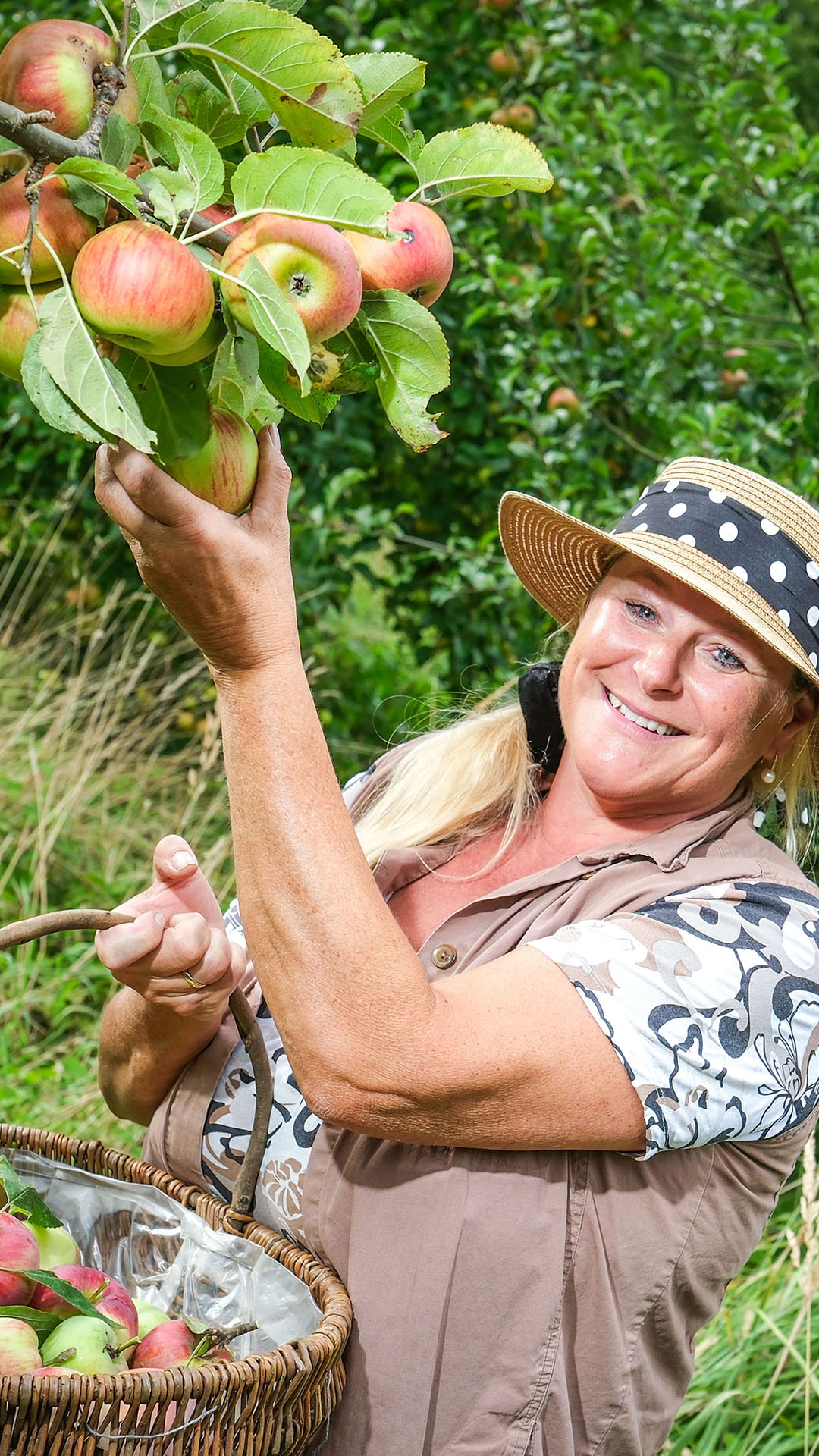 Seltene Sorten: Ein Besuch auf der Streuobstwiese