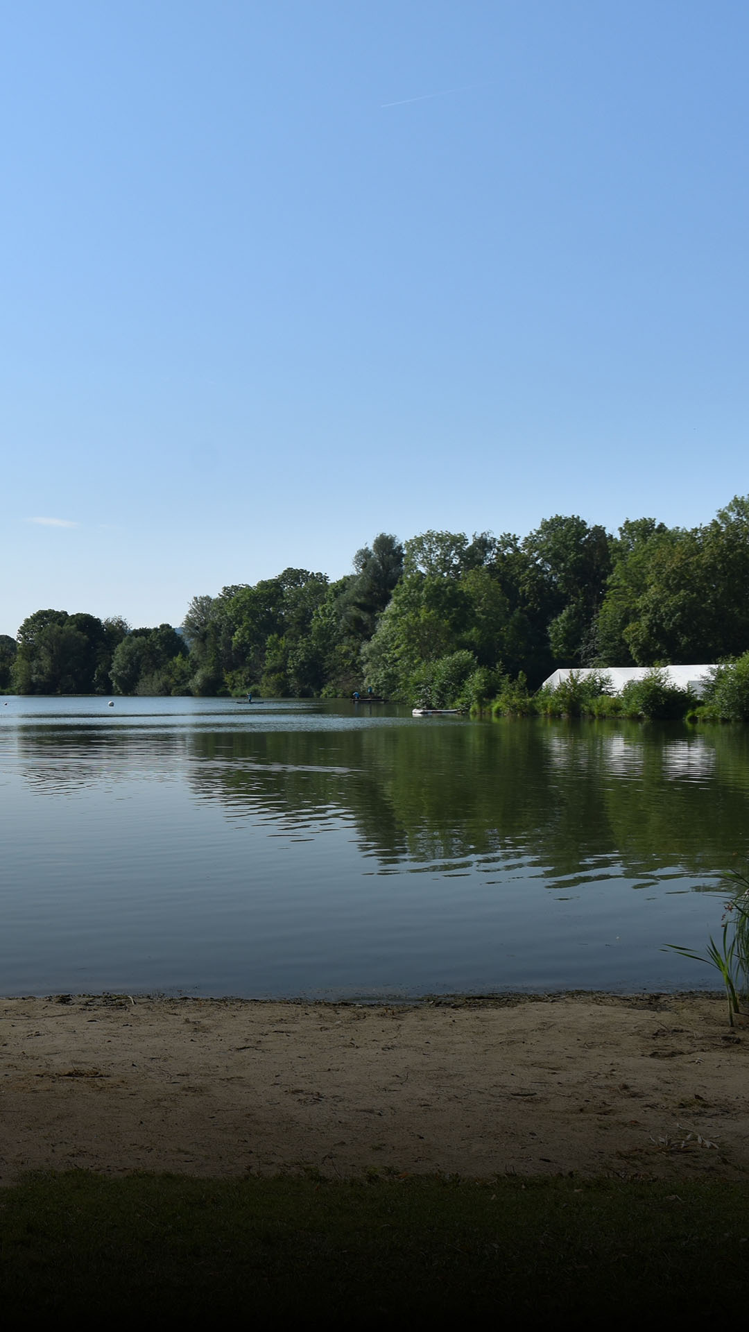 Im Galopp beim Hildesheimer Olympia-Camp