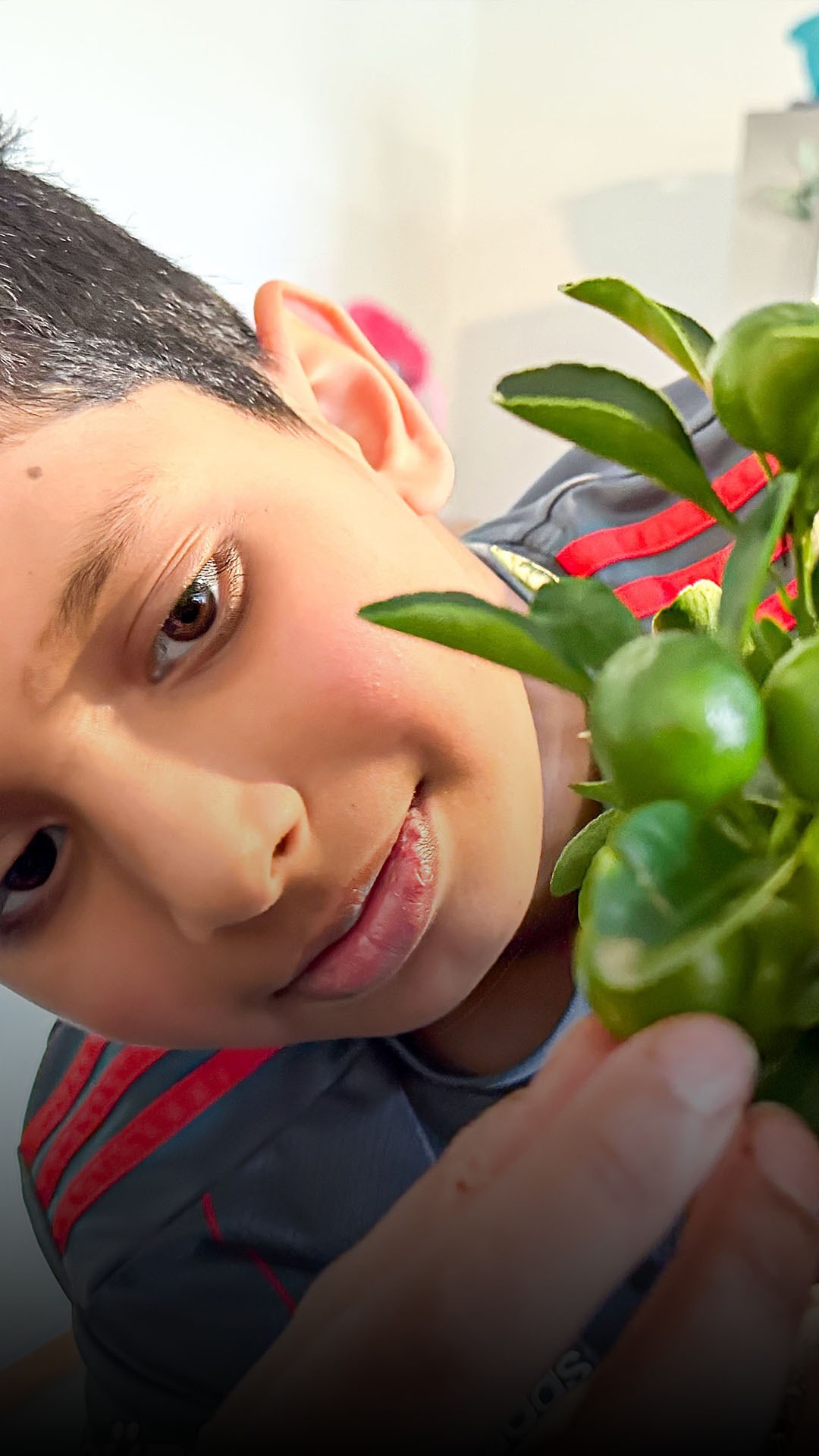 Tamseel blüht auf - beim Gärtnern